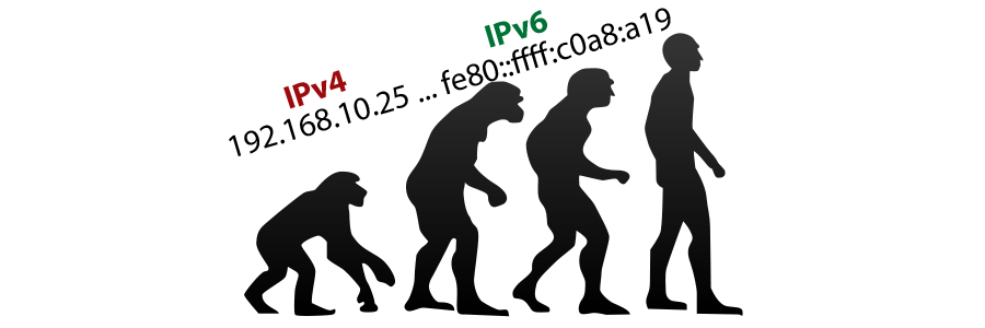 IP Evolution